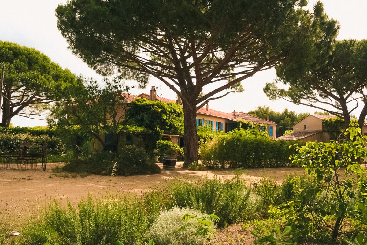 Ferme de l’Empereur entourée de pins et de verdure à Ramatuelle.