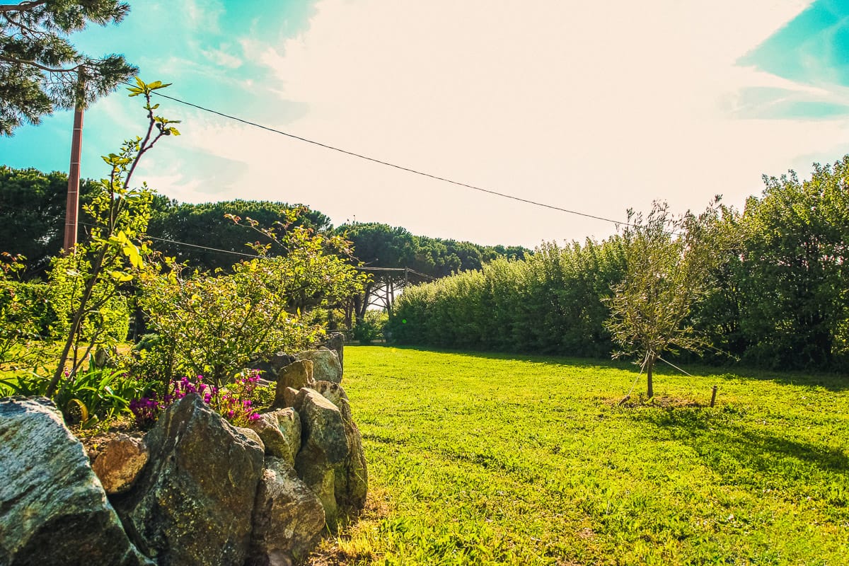 Grand jardin verdoyant de la Ferme de l’Empereur à Ramatuelle.