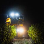 Machine à vendanger travaillant de nuit dans les vignes, éclairée par de puissants phares.