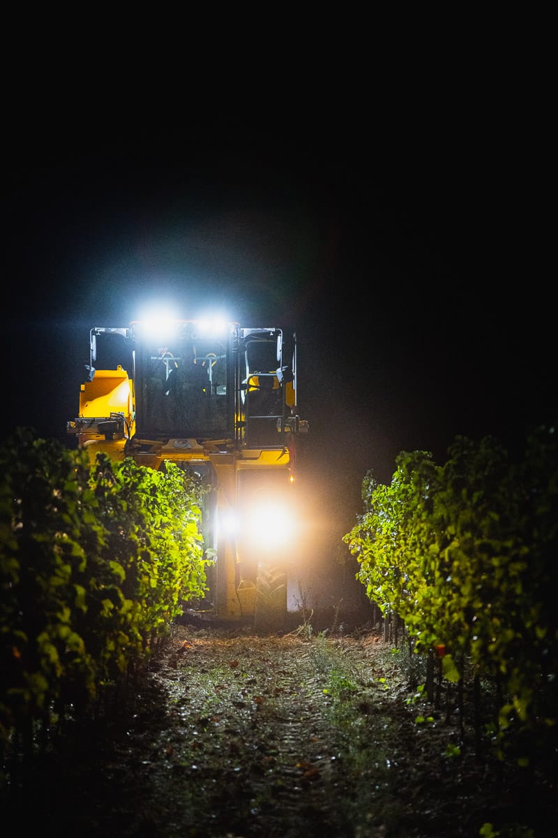 Machine à vendanger travaillant de nuit dans les vignes, éclairée par de puissants phares.