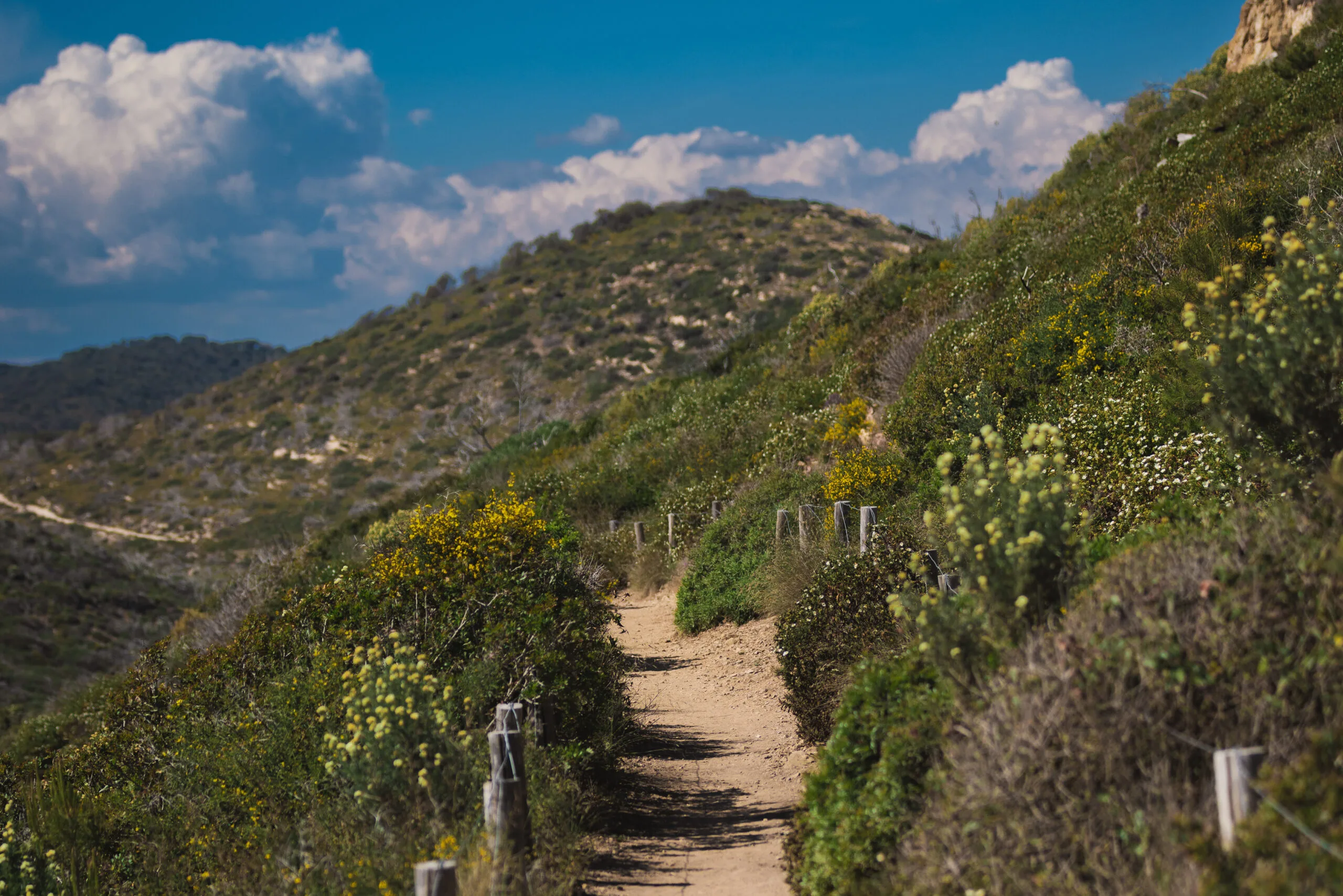 Sentier côtier du Cap Taillat bordé de végétation méditerranéenne